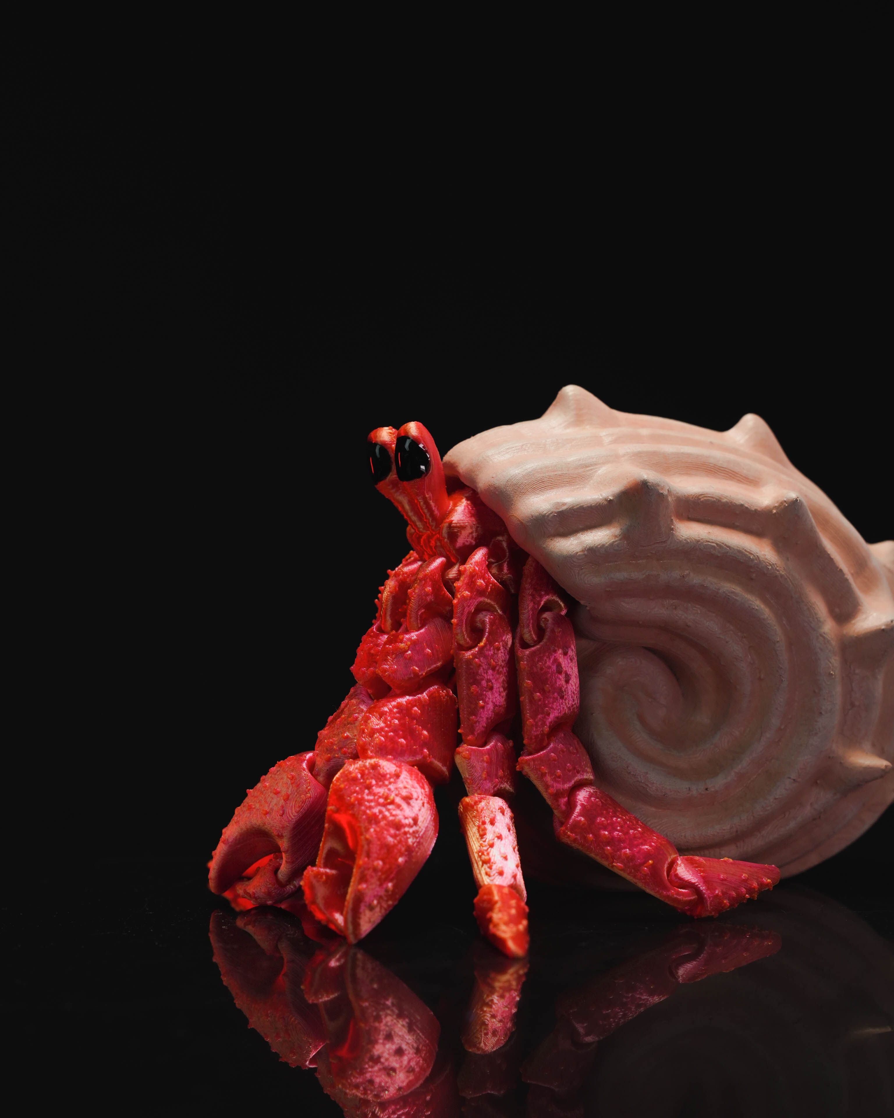 Hermes – Beweglicher Einsiedlerkrebs mit Muschelhaus