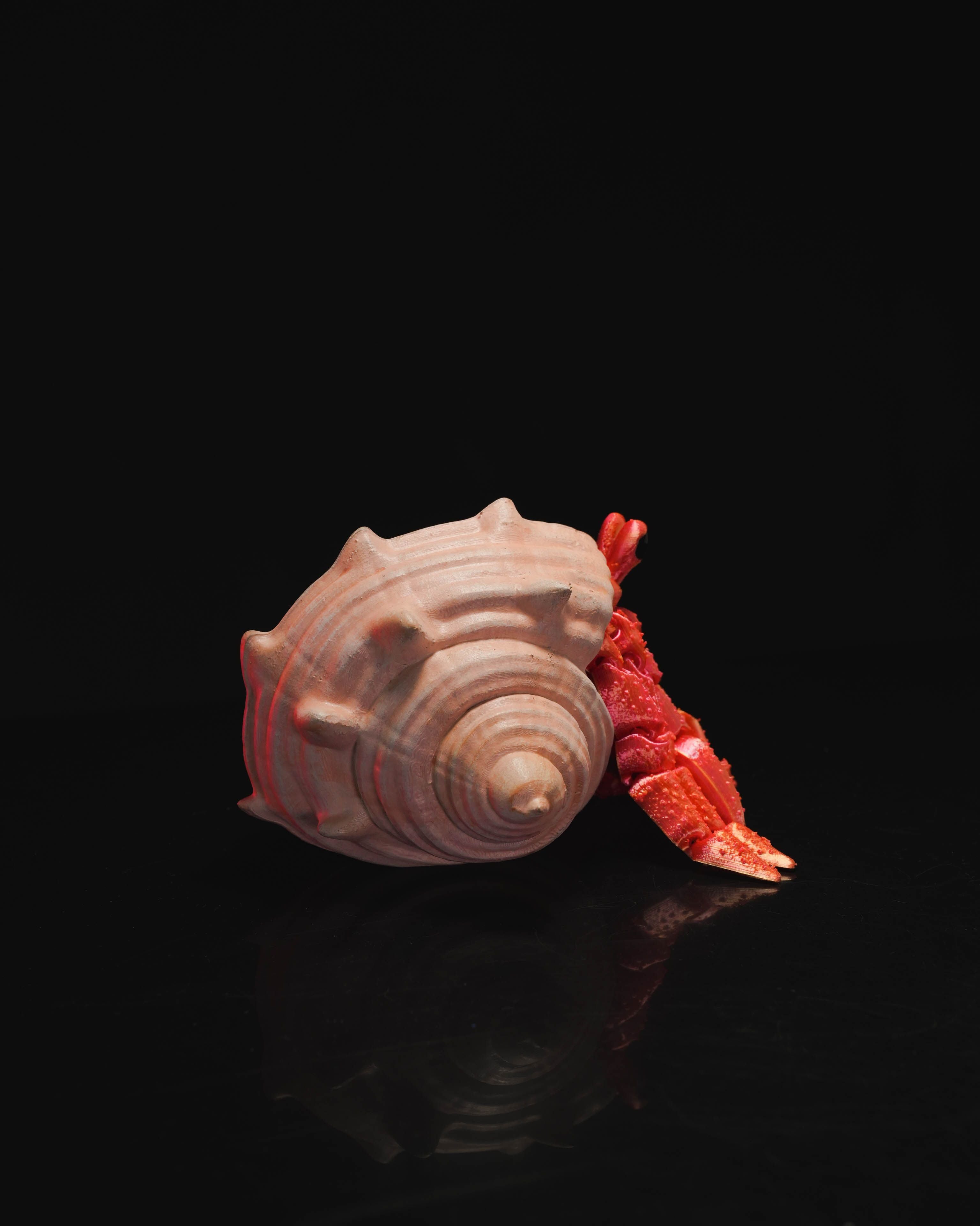 Hermes – Beweglicher Einsiedlerkrebs mit Muschelhaus