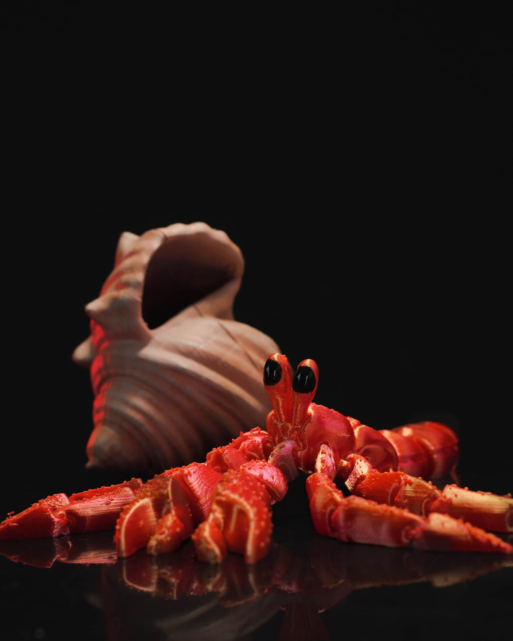 Hermes – Beweglicher Einsiedlerkrebs mit Muschelhaus